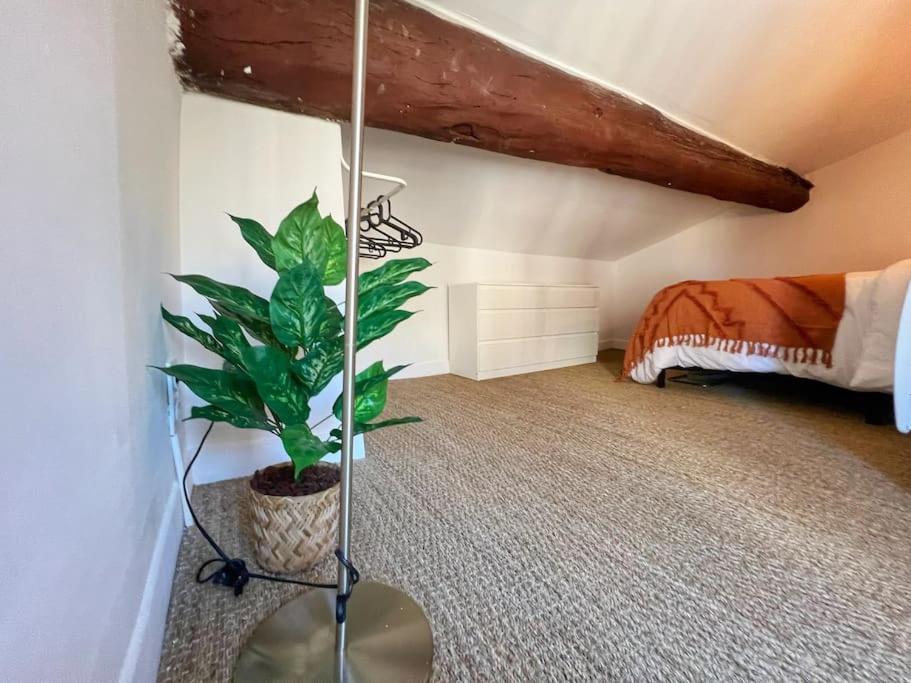 Nid Perche En Centre Historique D'avignon Appartement *